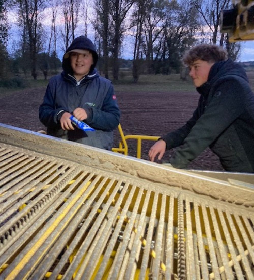 Kartoffelroden Neumärker Landhof Landwirtschaft